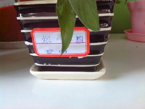 ����ů������ϵ����������