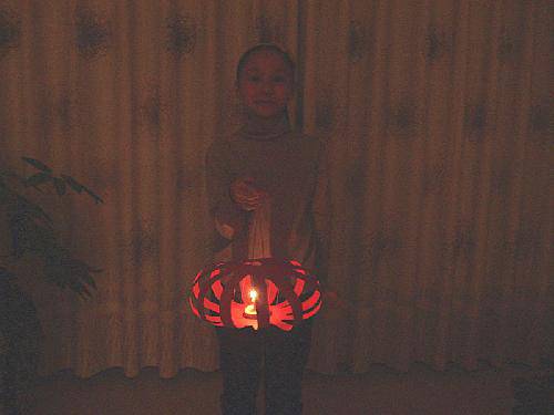 ����ϲϲ����������