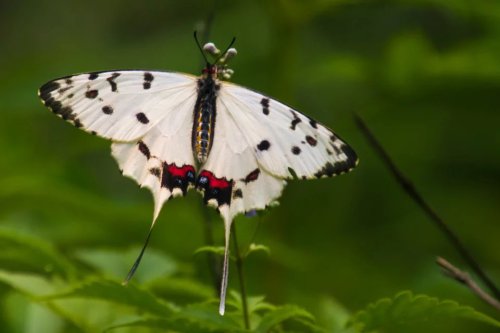 ���׳��졤�����ɹ����㻳������