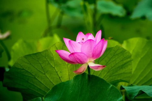 ���׳��졤�����ɹ����㻳������