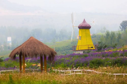 ���׳��졤�����ɹ����㻳������