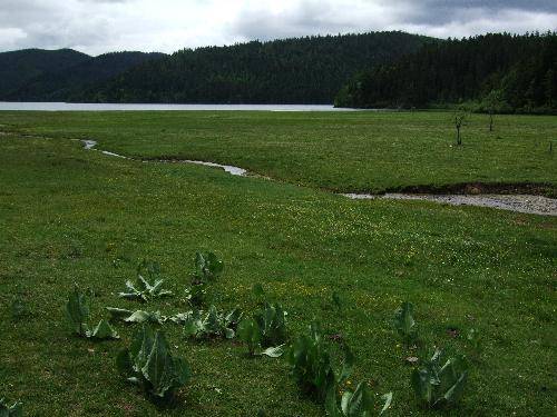 �˼��ɾ������մ����ҹ�԰����