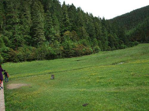 �˼��ɾ������մ����ҹ�԰����