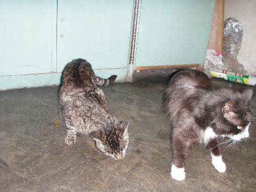 С�ں�������