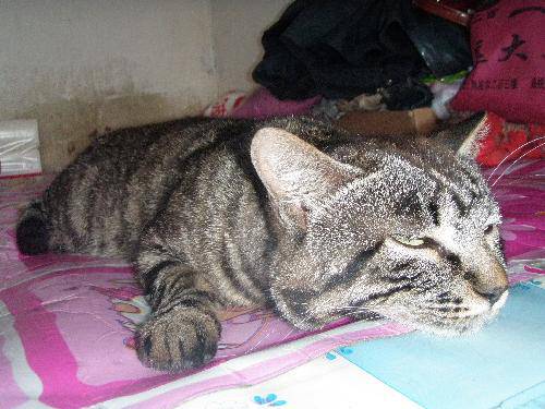 С�ں�������