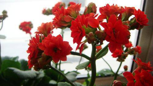 ���ٻ�������