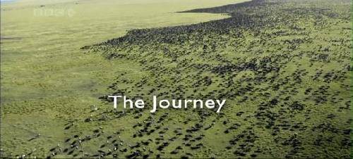 С���������ǣ���������