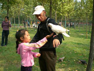 Ů������������Զ�ı�������