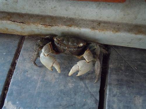 ʪ��Ҳ�������