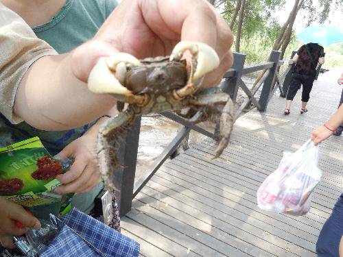 ʪ��Ҳ�������