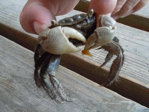 ʪ��Ҳ�������