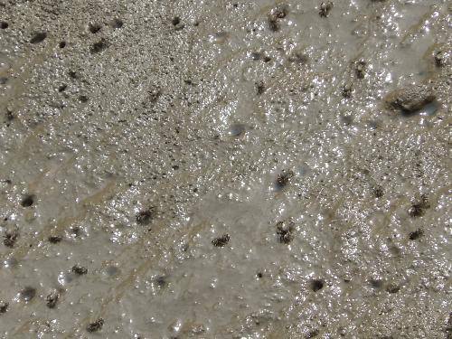 ʪ��Ҳ�������