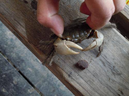 ʪ��Ҳ�������