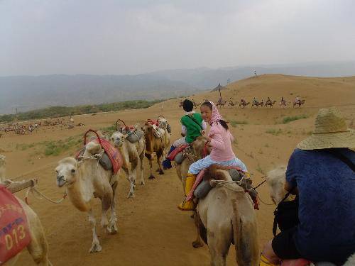 �����ຣ���μǡ���ɳ��ͷ����