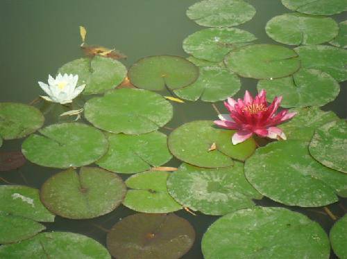 ����������