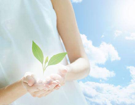 ��˫������