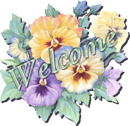 ����ì������