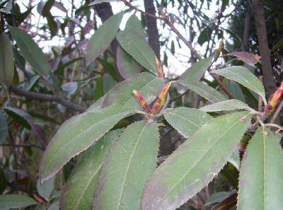 Ѱ�Ҵ�������