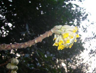 Ѱ�Ҵ�������