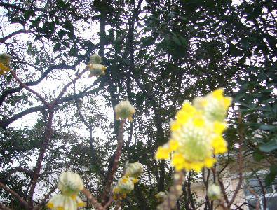 Ѱ�Ҵ�������