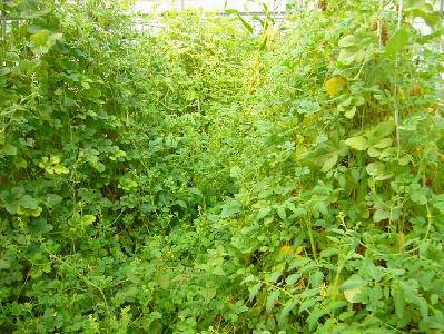 ��ϵ���������