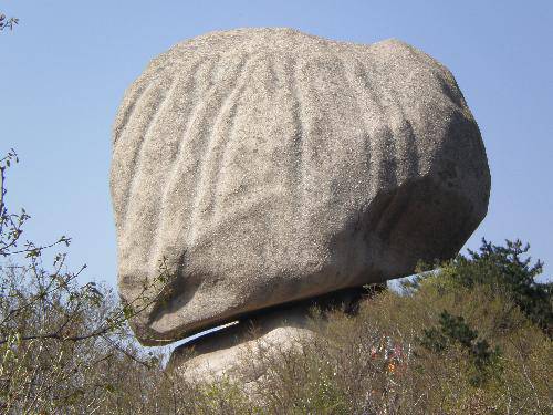 �����ɽ��Ӣ�����ģ�����