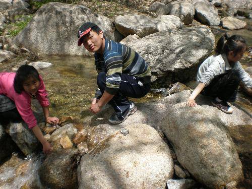 �����ɽ��Ӣ�����ģ�����