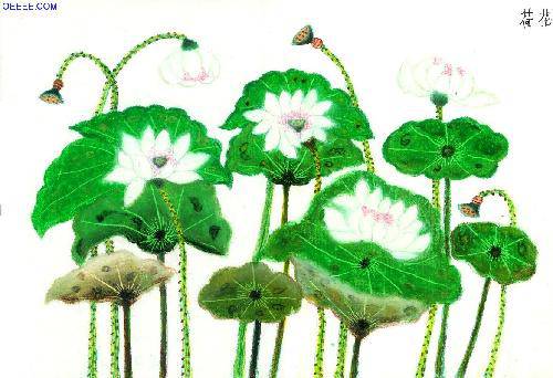 ��������磬������ѧ              ����