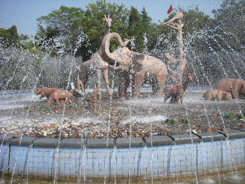 �ζ���԰����