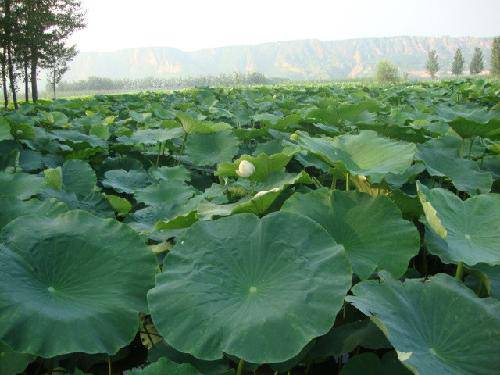 �ͷ����֮����ȥ����������