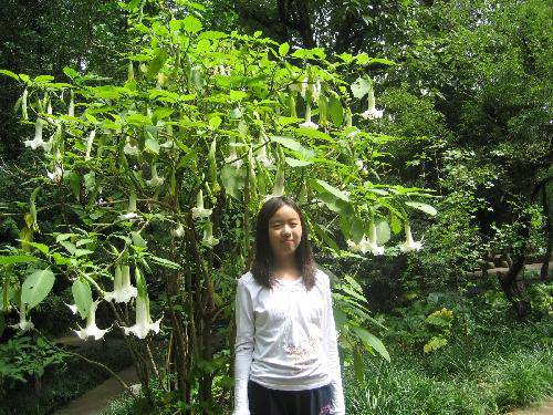 ���ص�ɱ������