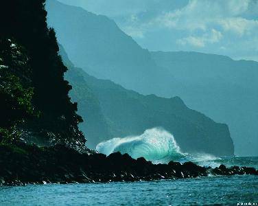 ��˿�����Ҷ��ӵ�ʫ����