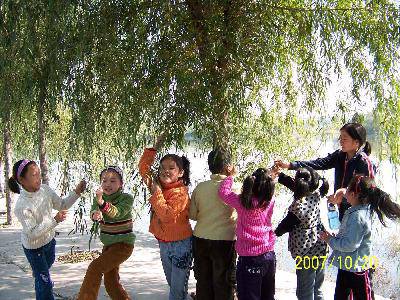 ���Ƕ��������