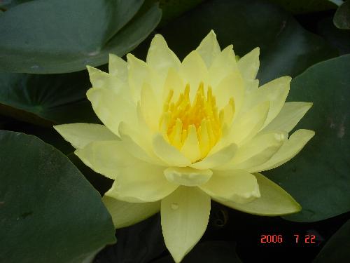 ��Ҫ�������㿴����