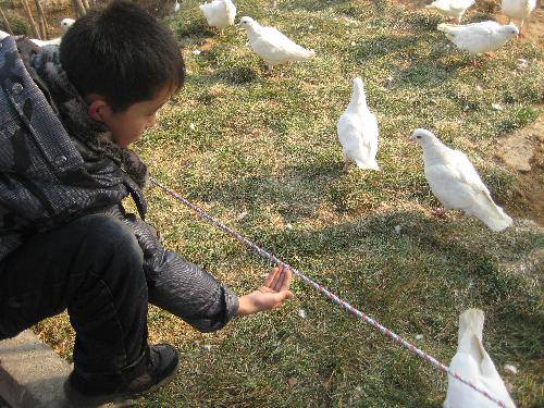 ���ڹ�԰һ��������