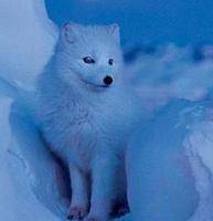 �����׺�����