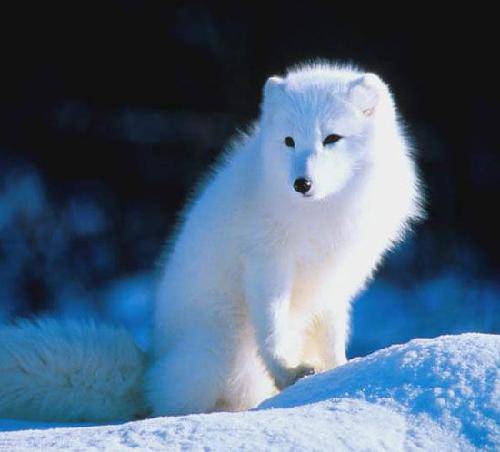 �����׺�����