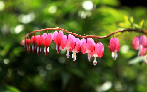 “赶春潮摄影配诗比赛”之“叛逆”作文