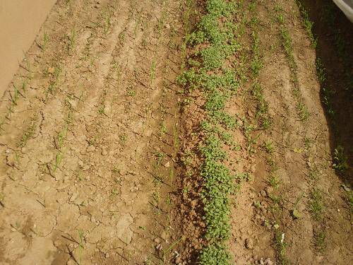 �������ɫ����