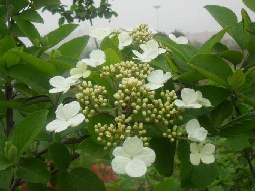 �Ҹ���˼�����