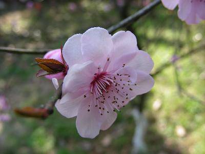 ���־����ʦ���������