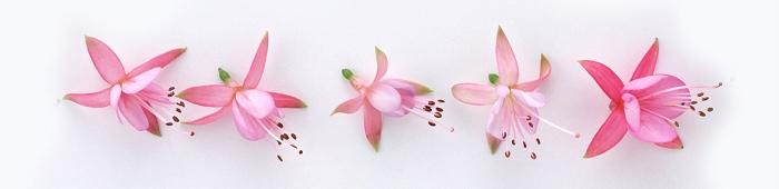 ��Զ����԰����