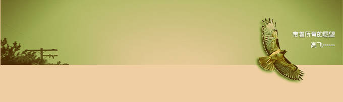 �����󡱶���������