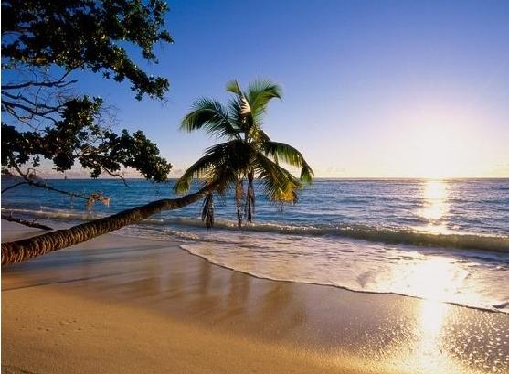 �ҵ�СС˵--Ь��������Ļ�����ͼ������