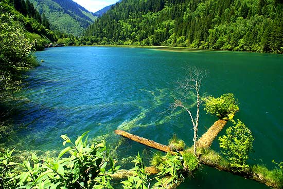 �ҵ�СС˵--Ь��������Ļ�����ͼ������