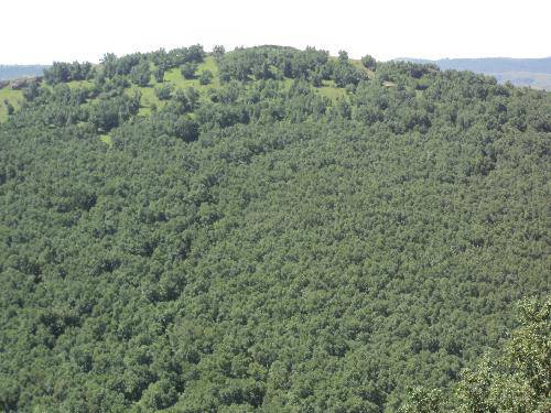 �����ΰ�˹��ͼʯ������