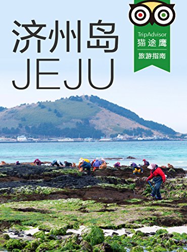 ݵ (TripAdvisorè;ӥָ)