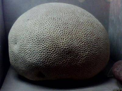 �����߽���Ȥ����Ŀ�ѧ����------�ιۺ���ʡ���ʲ��������