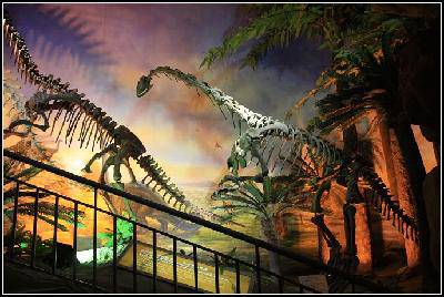 �����߽���Ȥ����Ŀ�ѧ����------�ιۺ���ʡ���ʲ��������