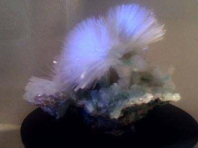 �����߽���Ȥ����Ŀ�ѧ����------�ιۺ���ʡ���ʲ��������